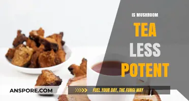 Mushroom Tea: Less Potent Brew?