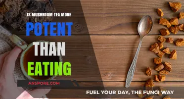 Mushroom Tea vs. Eating: Which Delivers Stronger Effects?