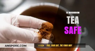 Mushroom Tea: Safe Super Drink or Health Hazard?