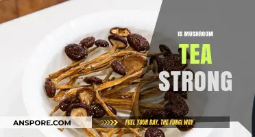 Mushroom Tea: A Potent Brew?