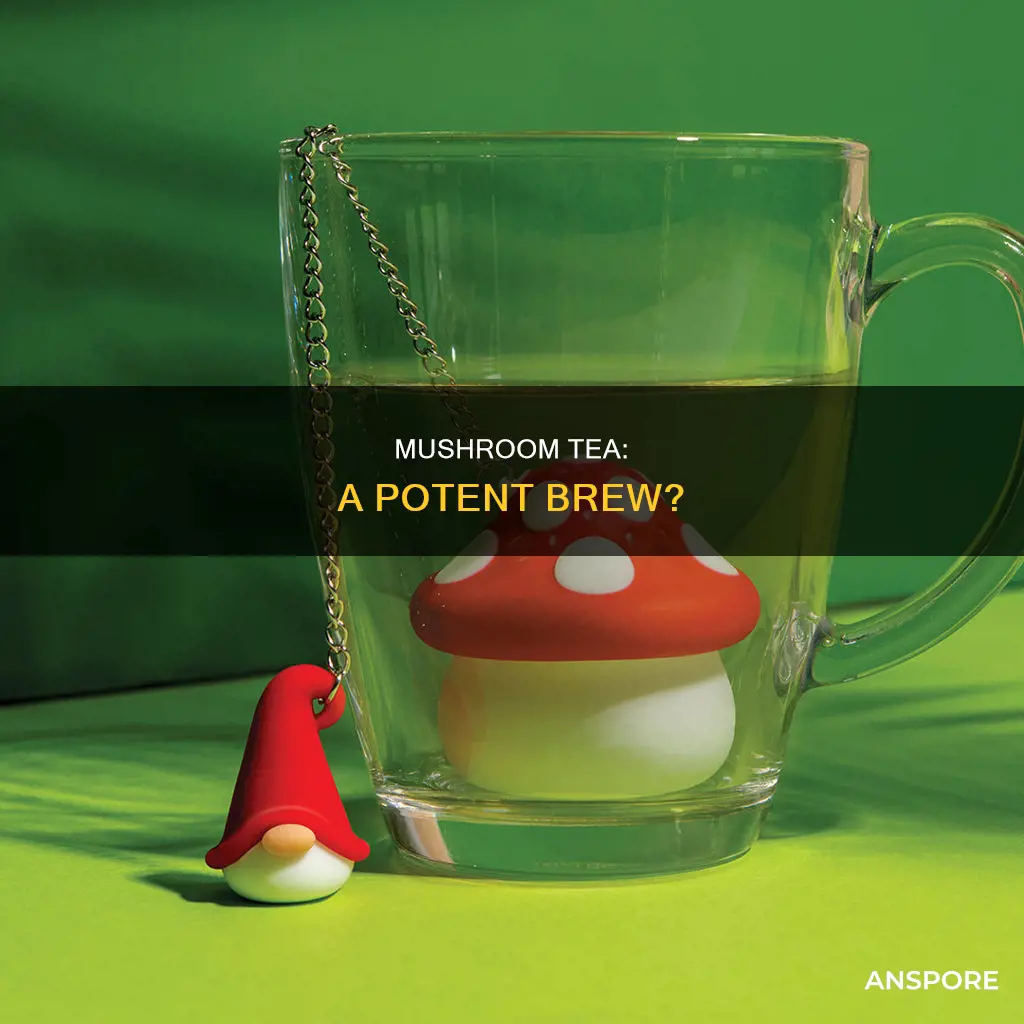 is mushroom tea strong
