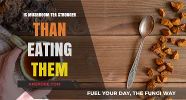 Mushroom Tea vs. Eating: Which Delivers a Stronger Effect?