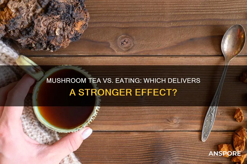 is mushroom tea stronger than eating them