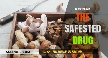 Mushrooms: The Safest Drug?