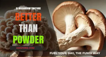 Mushroom Tincture vs. Powder: Which Form is More Effective?