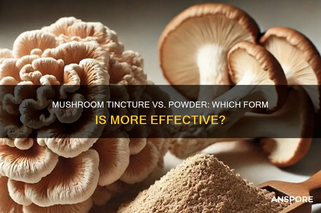 is mushroom tincture better than powder