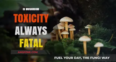 Mushroom Toxicity: Always a Death Sentence?