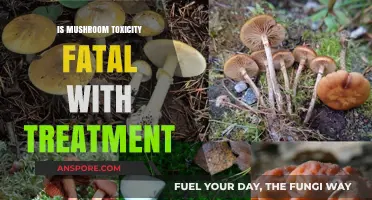 Can Mushroom Toxicity Be Fatal Even with Prompt Treatment?