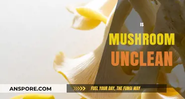 Mushrooms: Clean or Unclean?