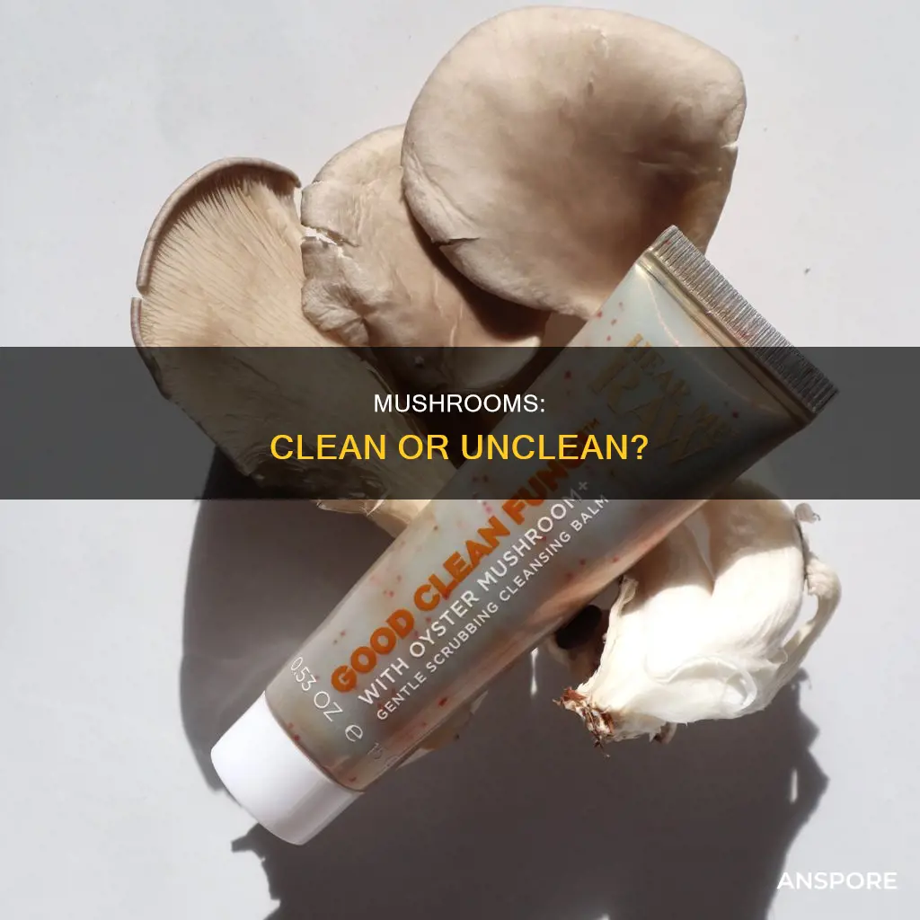 is mushroom unclean