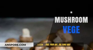 Mushroom Mystery: Veggie or Not?