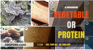 Mushrooms: Veggies or Proteins?