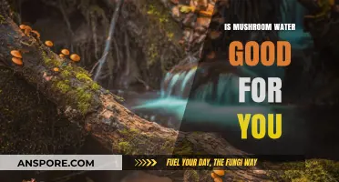 Mushroom Water Benefits: Unveiling the Truth About This Trendy Wellness Drink