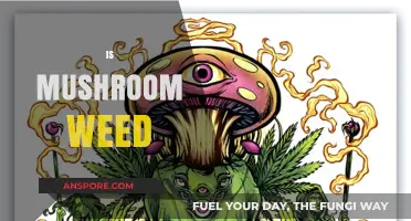 Mushroom and Weed: A Match Made in Heaven?