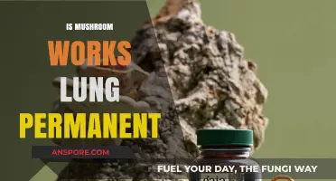 Mushroom Workers' Lung: Is It Curable?