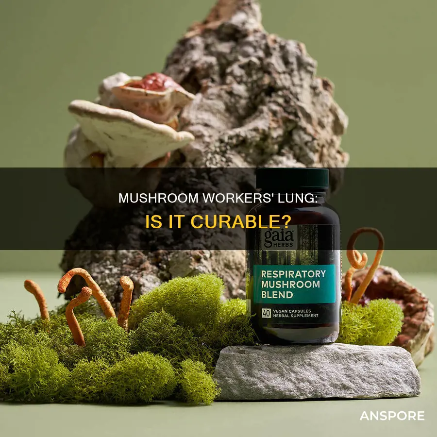 is mushroom works lung permanent