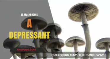 Mushrooms: A Natural Depressant or Not?