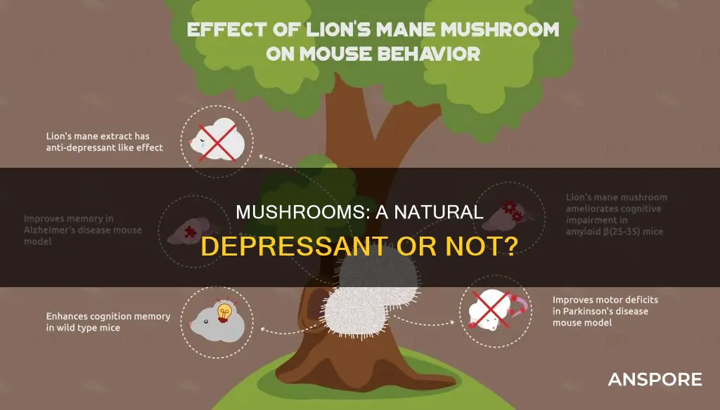 is mushrooms a depressant