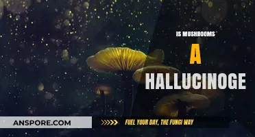 Mushrooms: Hallucinogenic or Not?