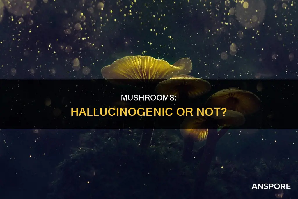 is mushrooms a hallucinogen