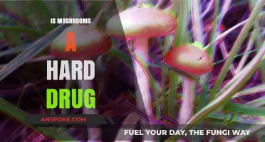 Mushrooms: Are They Harder Drugs Than We Think?