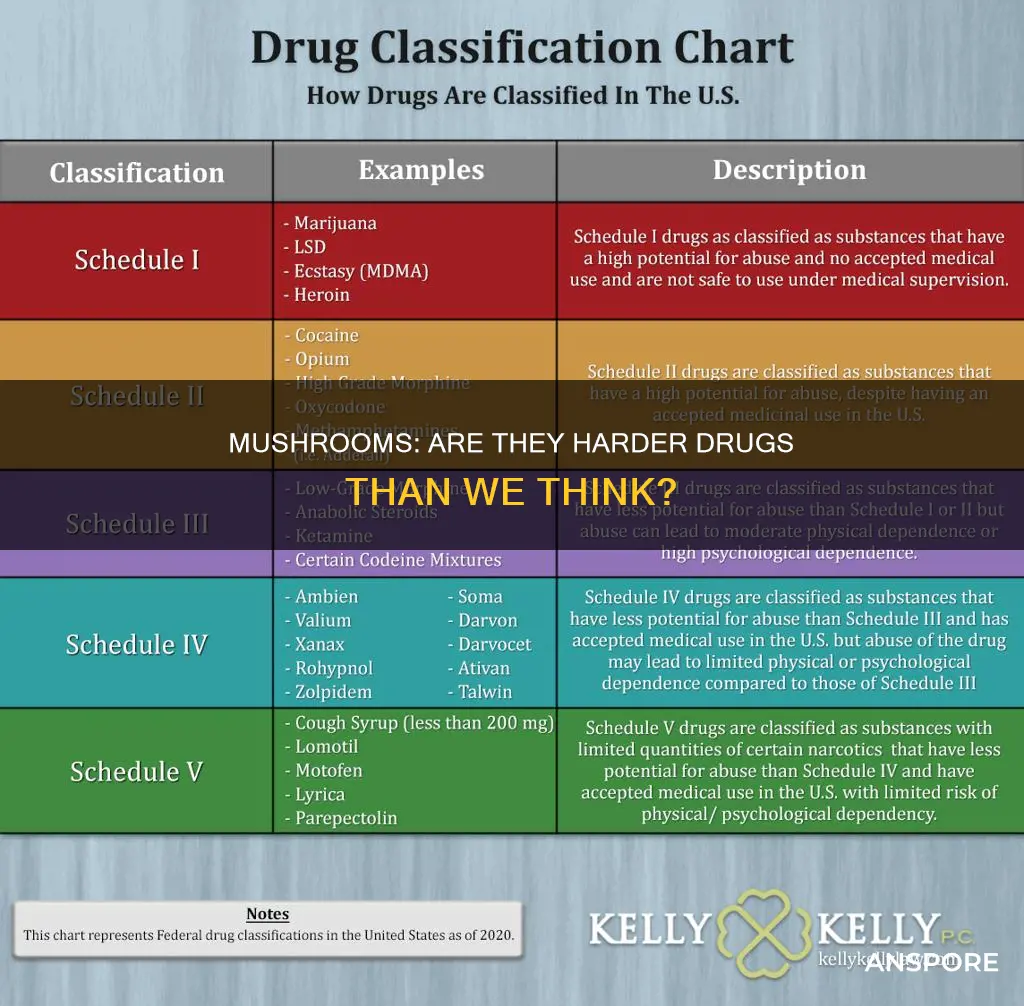 is mushrooms a hard drug