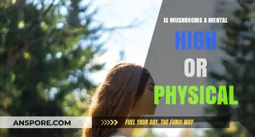 Mushrooms: Unraveling the Mental vs. Physical High Debate