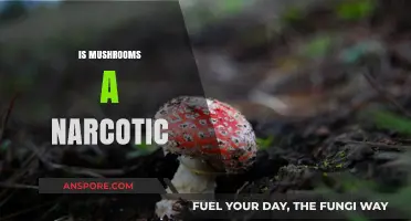 Mushrooms: Hallucinogenic or Harmless?