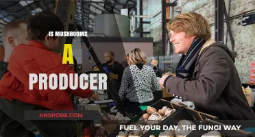 Mushrooms: Nature's Producers or Consumers?