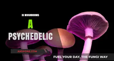 Mushrooms: A Natural Psychedelic Trip