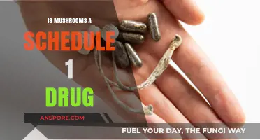 Are Mushrooms a Schedule 1 Drug? Debunking Psilocybin Myths