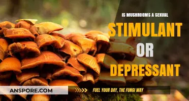 Mushrooms: Sexual Stimulant or Depressant? Unveiling the Truth