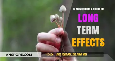 Mushrooms' Effects: Short-Term vs. Long-Term Impacts Explained