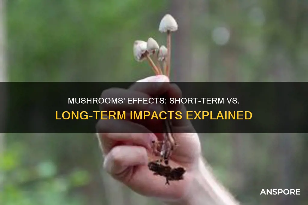 is mushrooms a short or long term effects