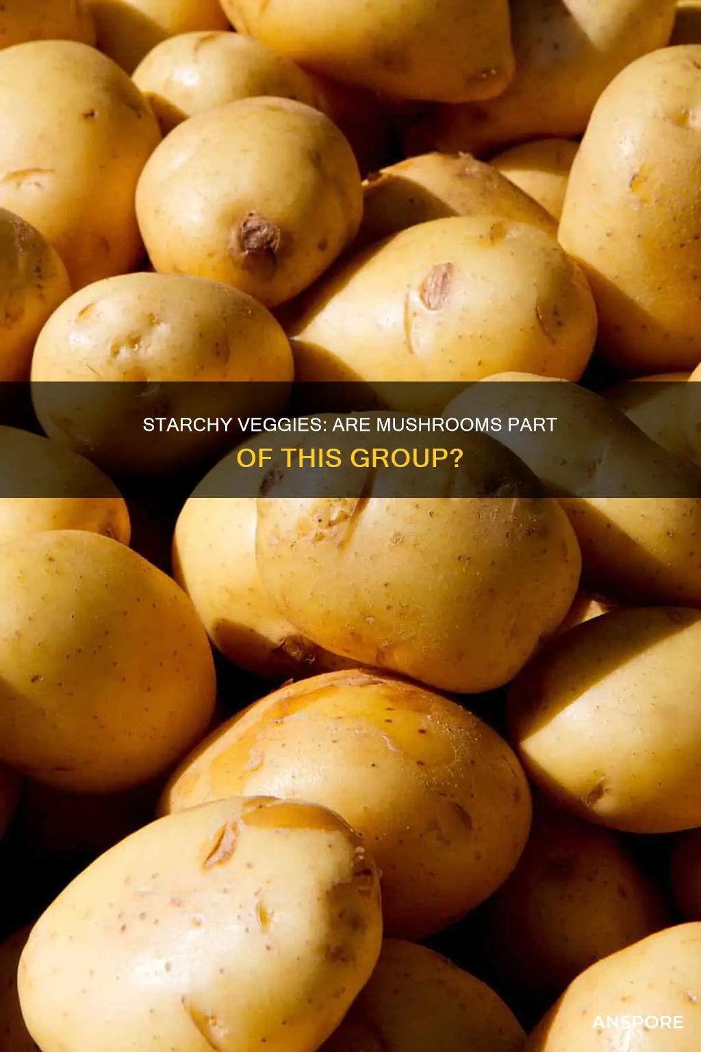 is mushrooms a starchy vegetable