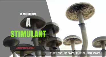 Mushrooms: Stimulant or Not?