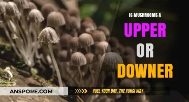 Mushrooms: Upper or Downer? Unraveling Their Psychedelic Effects