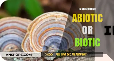 Mushrooms: The Biotic-Abiotic Mystery Unveiled