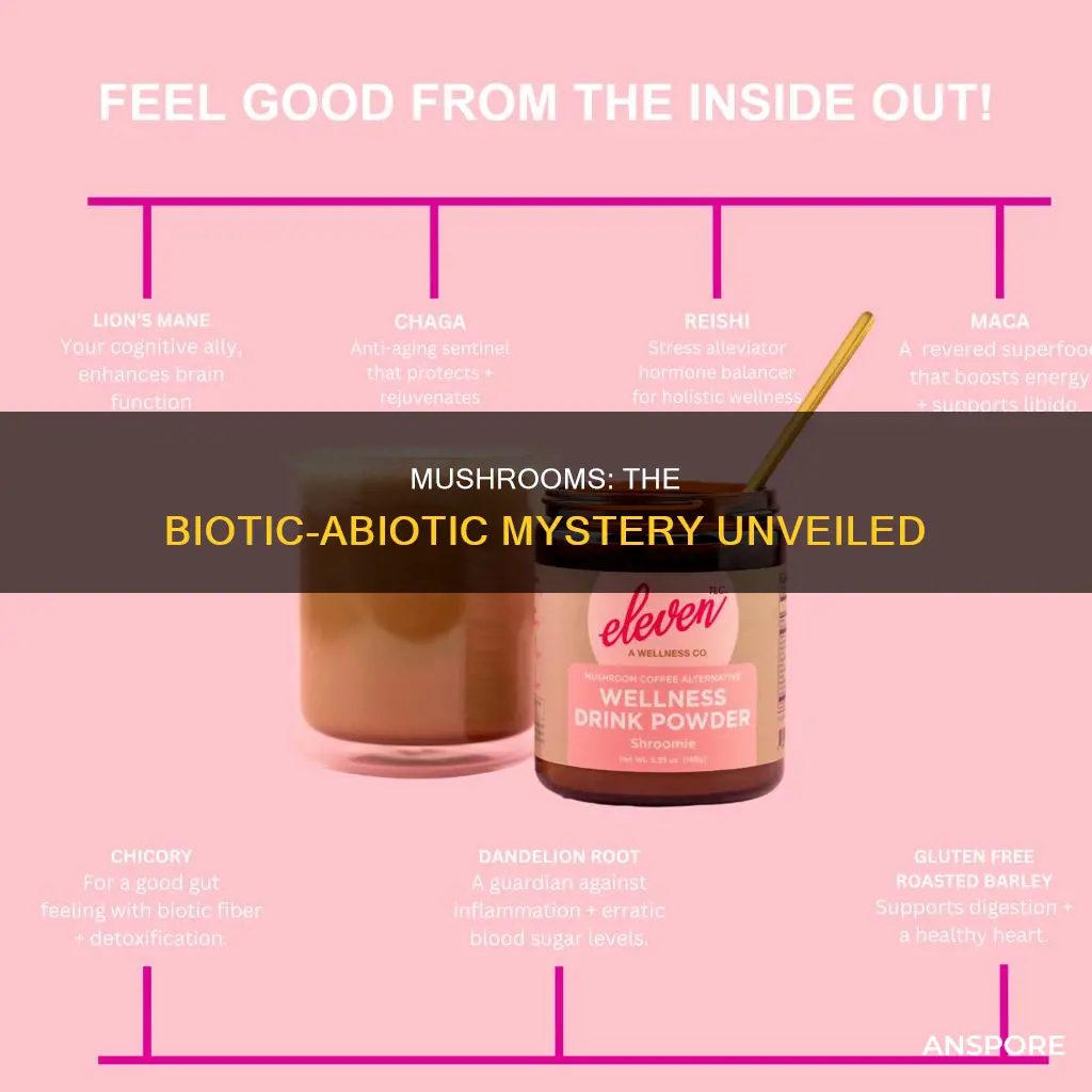 is mushrooms abiotic or biotic