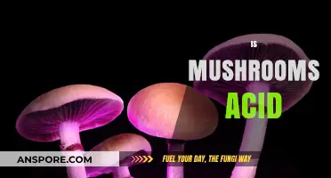 Mushrooms: Are They Acidic or Alkaline?