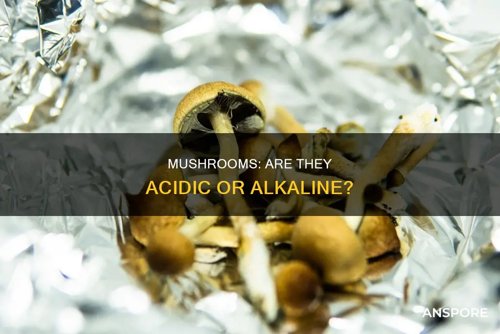 is mushrooms acid
