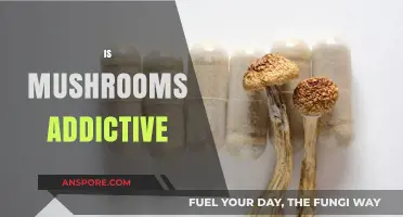 Mushrooms: Addictive or Not?