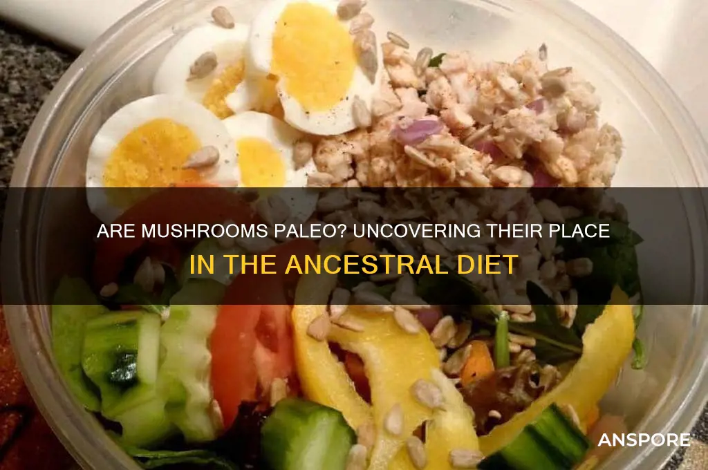 is mushrooms allowed in paleo diet