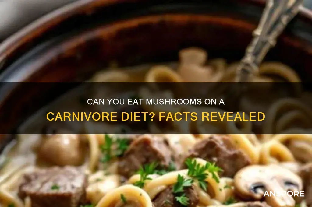 is mushrooms allowed on carnivore diet