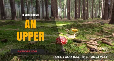Mushrooms: A Natural Upper or Downer?