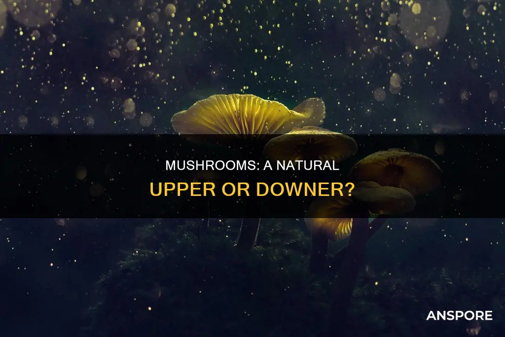 is mushrooms an upper