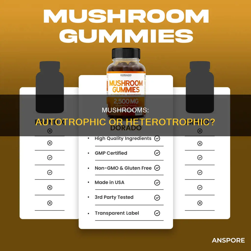 is mushrooms autotrophic or heterotrophic