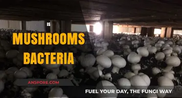 Mushrooms: Bacteria or Not?
