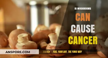 Can Mushrooms Cause Cancer? Debunking Myths and Understanding Risks