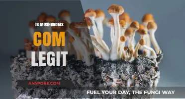 Mushrooms.com: Legit or a Scam?